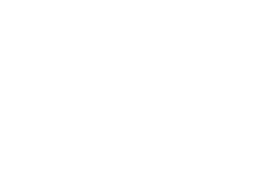 New Era Logo logo